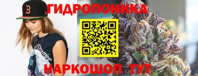 ECSTASY Ливны