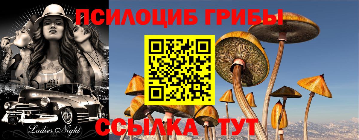Галлюциногенные грибы GOLDEN TEACHER Амурск