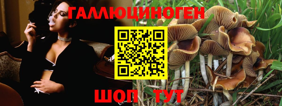 Амурск  Галлюциногенные грибы прущие грибы  Вход с VPN  Псилоцибиновые грибы мухоморы 